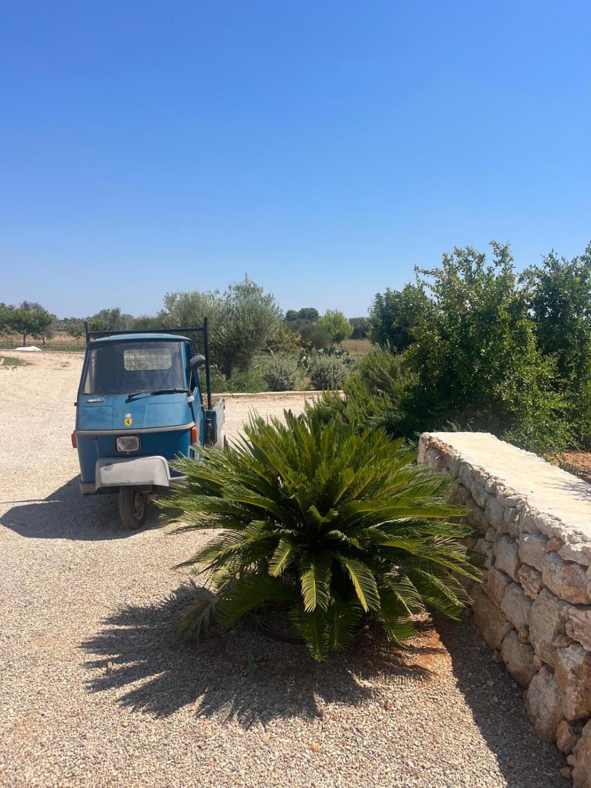 Villa Casa Bianca Di Porto Selvaggio Santa Caterina  Eksteriør bilde