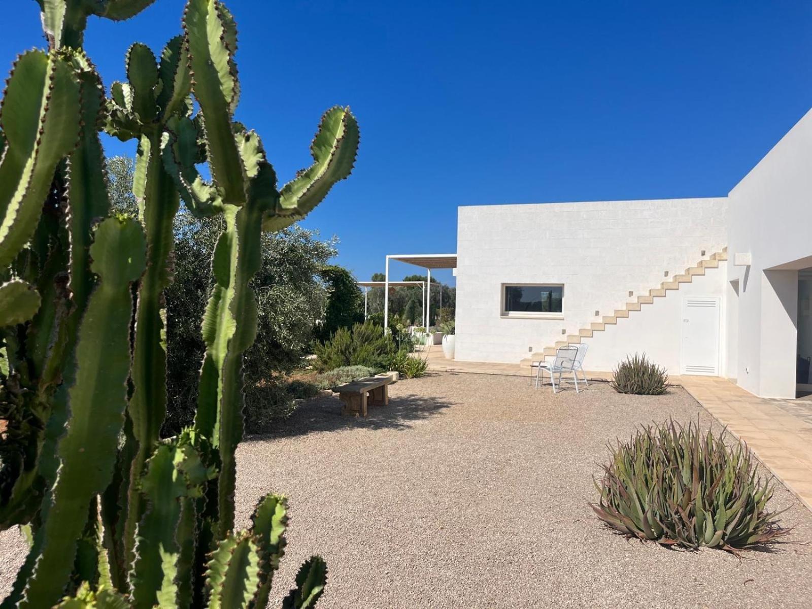 Villa Casa Bianca Di Porto Selvaggio Santa Caterina  Eksteriør bilde