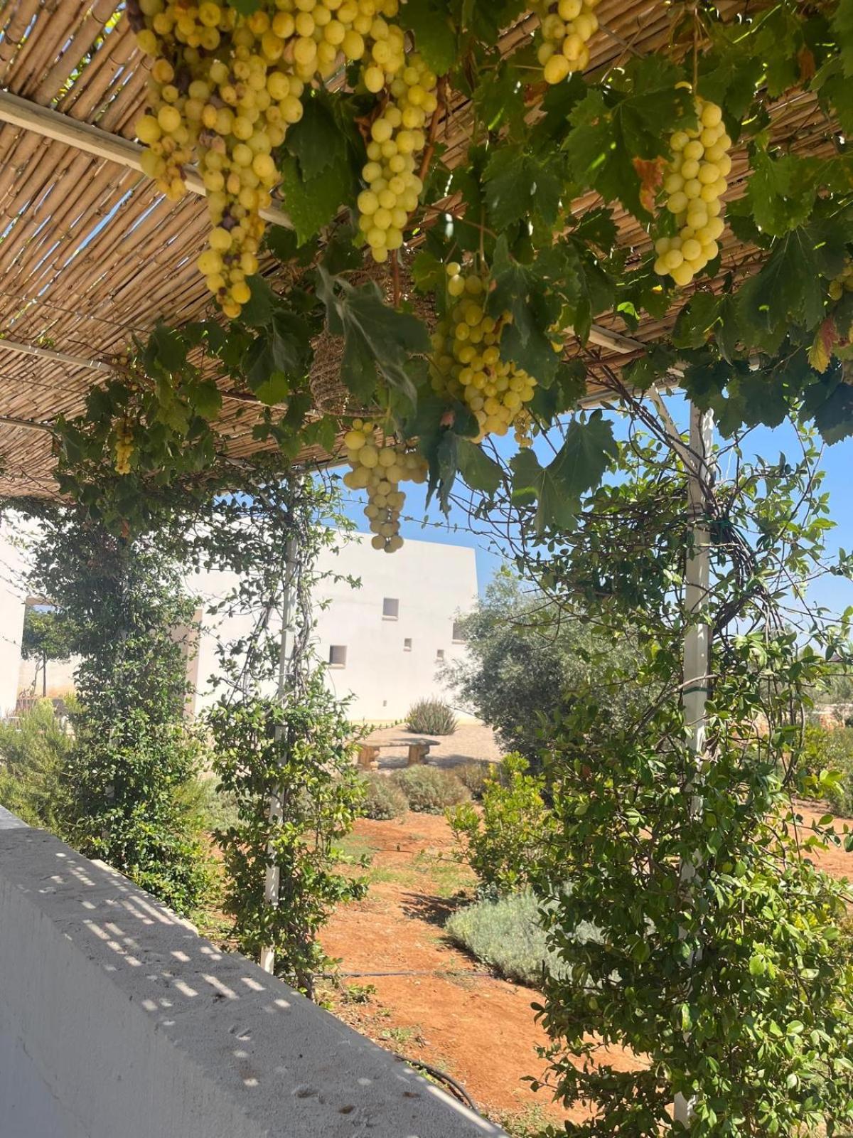 Villa Casa Bianca Di Porto Selvaggio Santa Caterina  Eksteriør bilde